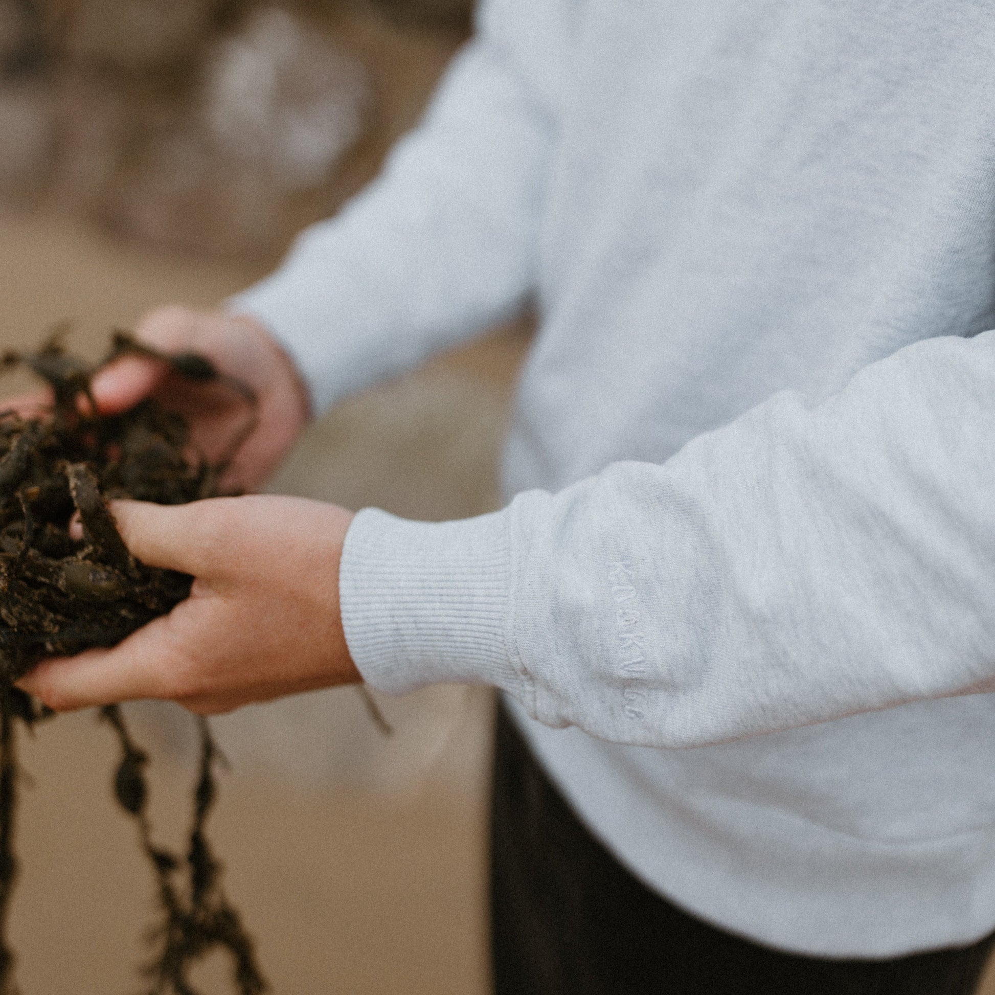 Person holding soil with a blurred natural background
